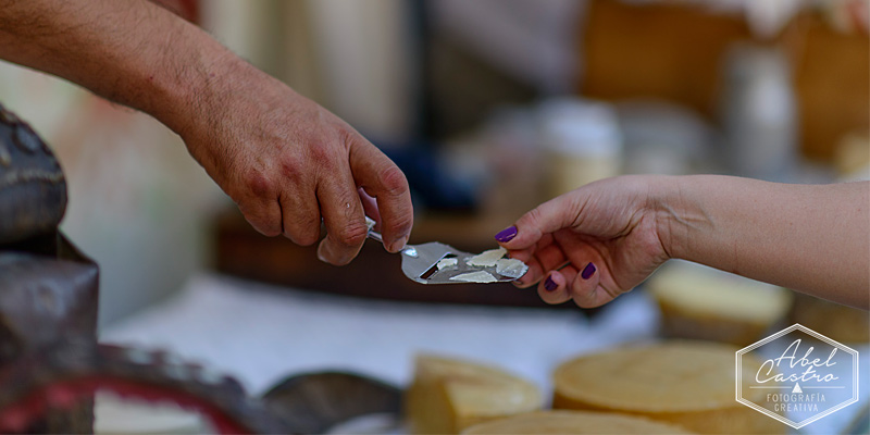 un-poco-de-queso-Abel-Castro